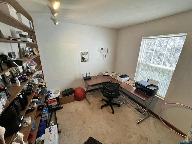 home office with carpet flooring and track lighting