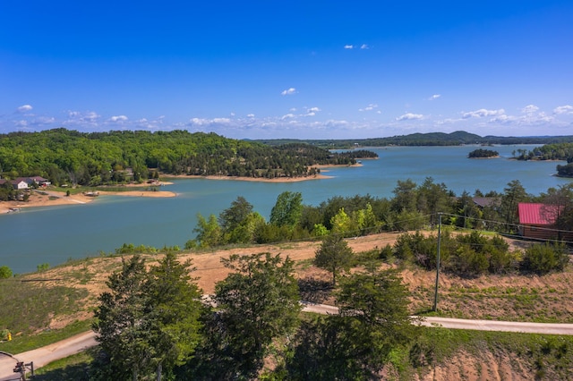 LOT13 Harbor Point Dr, Sevierville, TN 37876 - photo 16