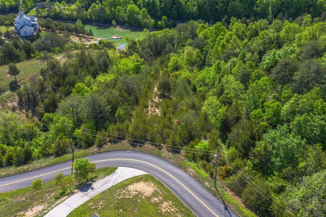 LOT13 Harbor Point Dr, Sevierville, TN 37876 - photo 2