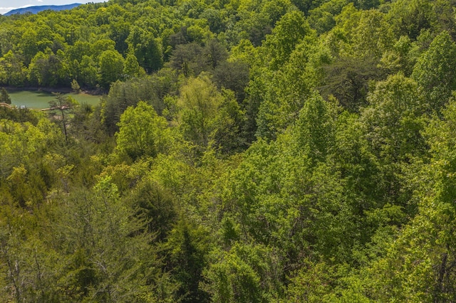 LOT13 Harbor Point Dr, Sevierville, TN 37876 - photo 5