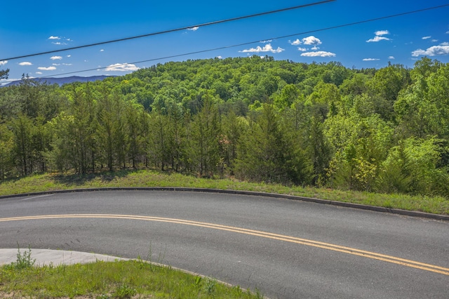 LOT13 Harbor Point Dr, Sevierville, TN 37876 - photo 3