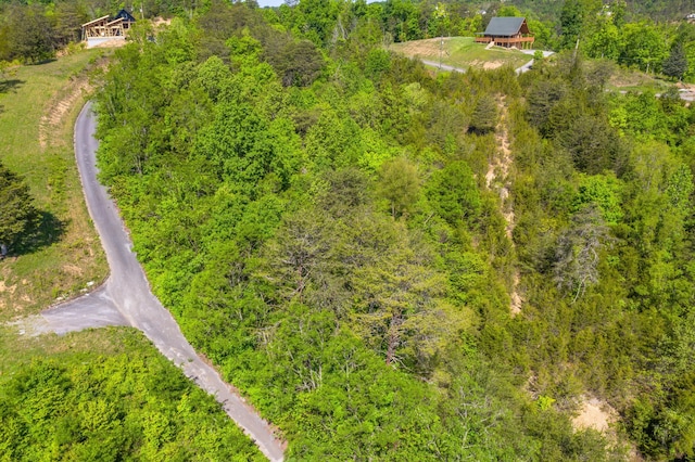 LOT13 Harbor Point Dr, Sevierville, TN 37876 - photo 8