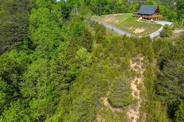 LOT13 Harbor Point Dr, Sevierville, TN 37876 - photo 12