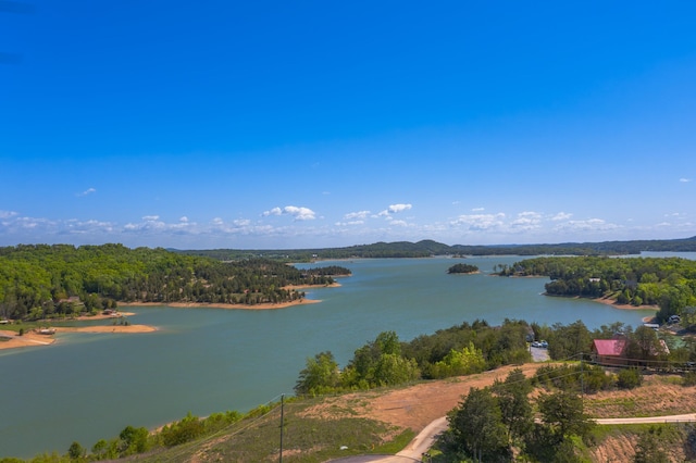 LOT13 Harbor Point Dr, Sevierville, TN 37876 - photo 14