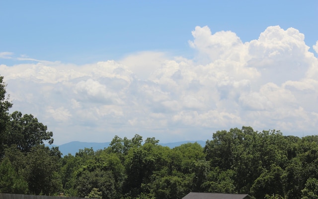 852 Quiet Oaks Way, Dandridge, TN 37725 - view of mountain backdrop featuring a forest