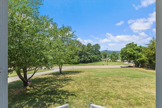 5220 Brights Pike, Morristown, TN 37814 - photo 23