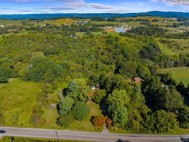 aerial view featuring a wooded view and a mountain view