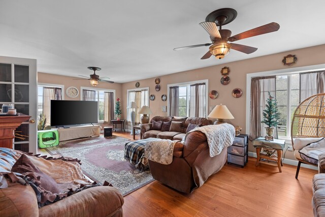 living room featuring ceiling fan, light hardwood / wood-style flooring, and a healthy amount of sunlight