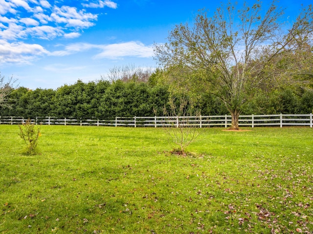 view of yard featuring a rural view