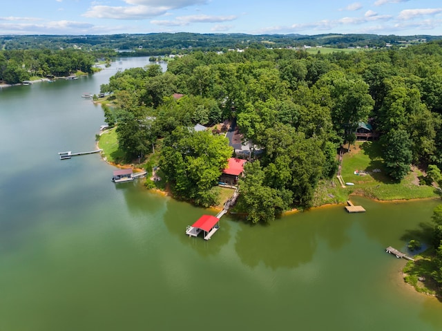 1055 Dean Cir, Dandridge, TN 37725 - bird's eye view of a large body of water and a forest