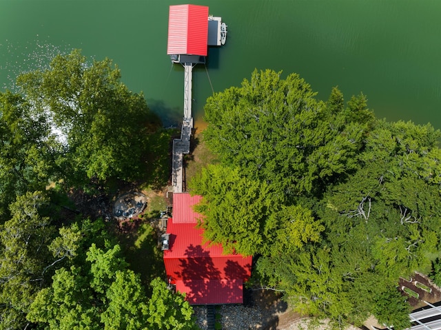 1055 Dean Cir, Dandridge, TN 37725 - drone / aerial view