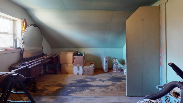 additional living space with lofted ceiling