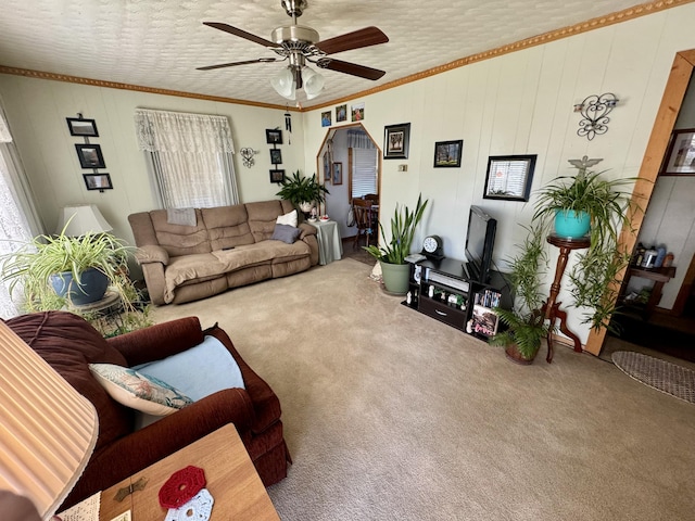 carpeted living area featuring crown molding, a textured ceiling, and ceiling fan