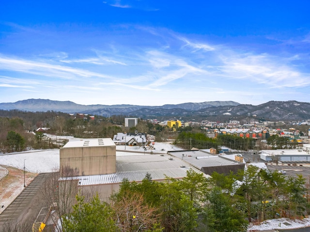 mountain view
