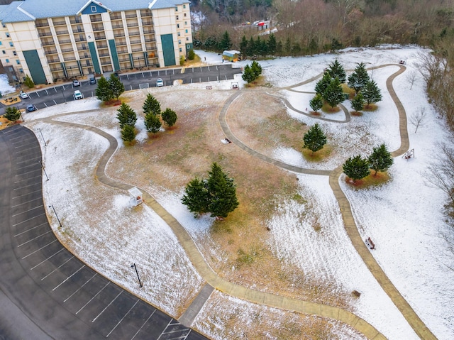 aerial view