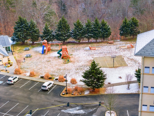 drone / aerial view