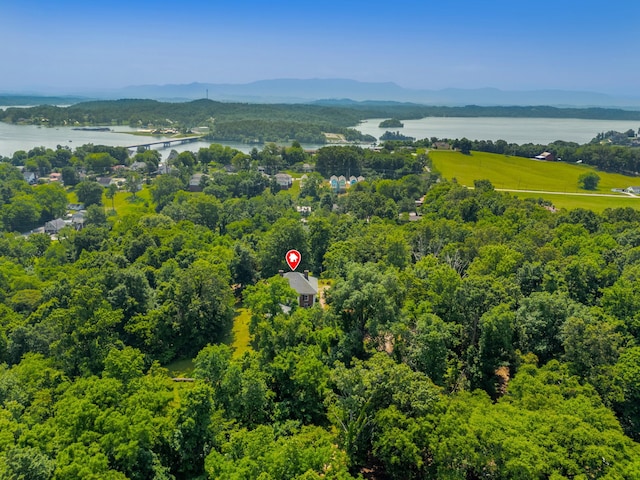 1130 Squirewood Way, Dandridge, TN 37725 - aerial view of a large body of water and a forest