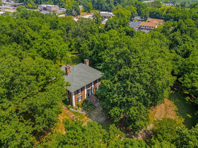 1130 Squirewood Way, Dandridge, TN 37725 - bird's eye view of a heavily wooded area
