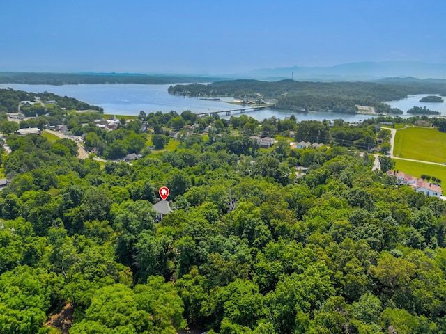 1130 Squirewood Way, Dandridge, TN 37725 - bird's eye view of a nearby body of water and a forest