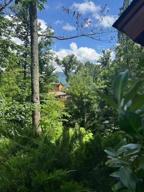 917 Pine Cone Way, Gatlinburg, TN 37738 - photo 2