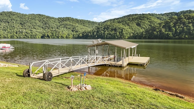 743 Jim Town Rd, Mooresburg, TN 37811 - photo 70