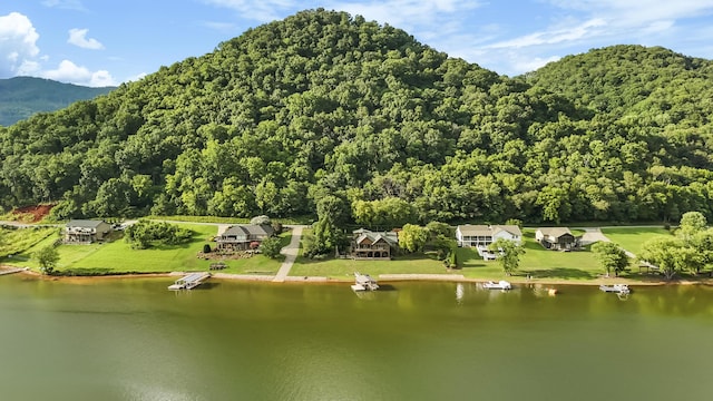 743 Jim Town Rd, Mooresburg, TN 37811 - photo 72