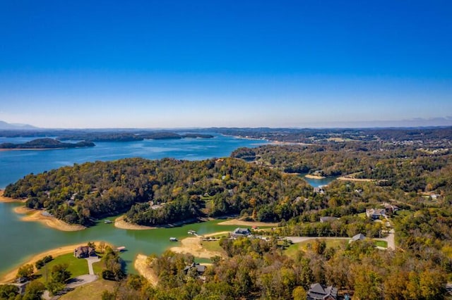 drone / aerial view with a water view and a view of trees