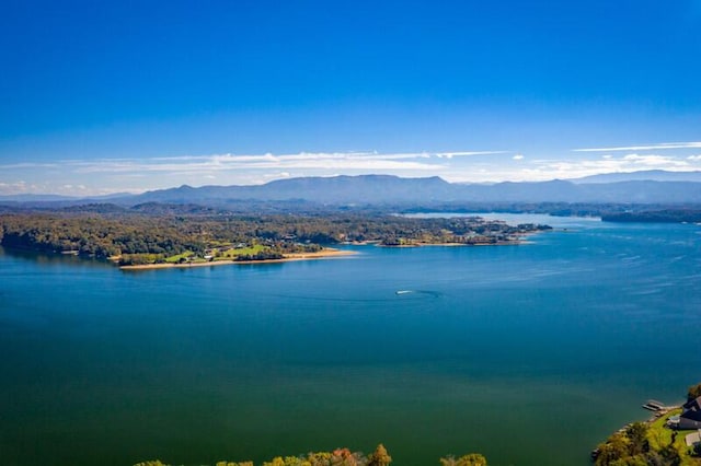 water view featuring a mountain view