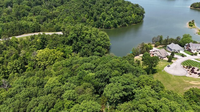 1991 Turners Landing Rd, Russellville, TN 37860 - photo 1