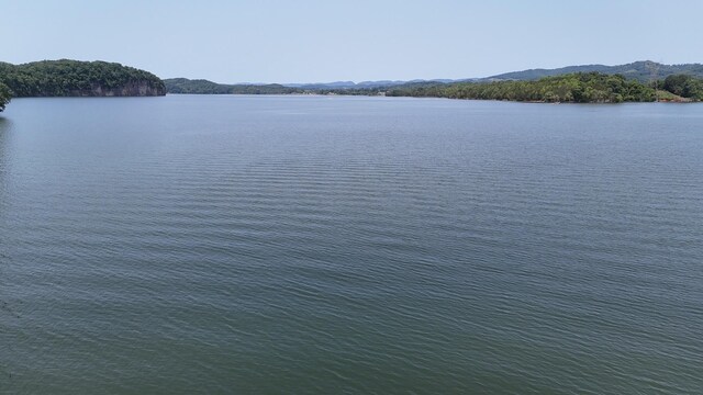 1991 Turners Landing Rd, Russellville, TN 37860 - photo 8