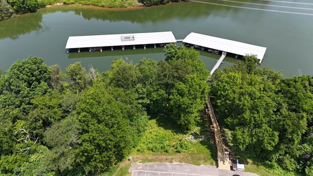 1991 Turners Landing Rd, Russellville, TN 37860 - photo 10