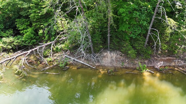 1991 Turners Landing Rd, Russellville, TN 37860 - photo 5