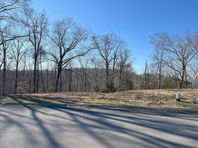 Listing photo 3 for 1991 Turners Landing Rd, Russellville TN 37860