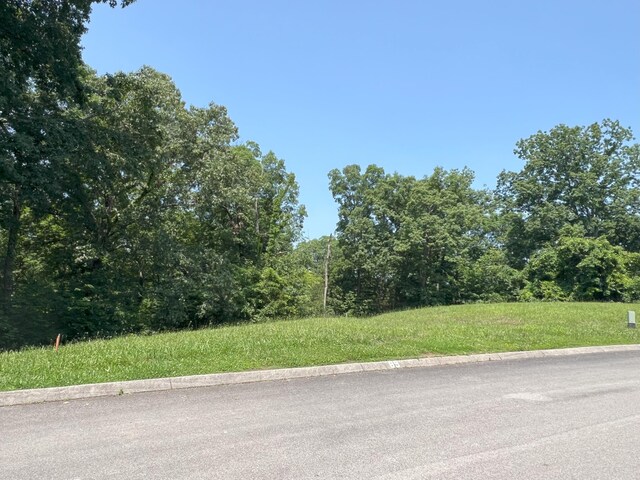1991 Turners Landing Rd, Russellville, TN 37860 - photo 3