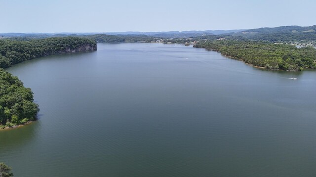 1991 Turners Landing Rd, Russellville, TN 37860 - photo 7
