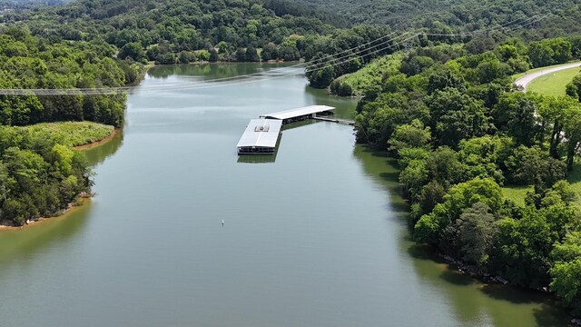 1991 Turners Landing Rd, Russellville, TN 37860 - photo 9
