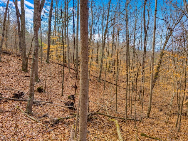 0000 Sandy Ridge Rd, Dandridge TN, 37725 land for sale