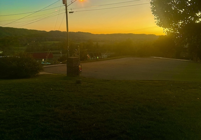 view of home's community with a mountain view and a yard