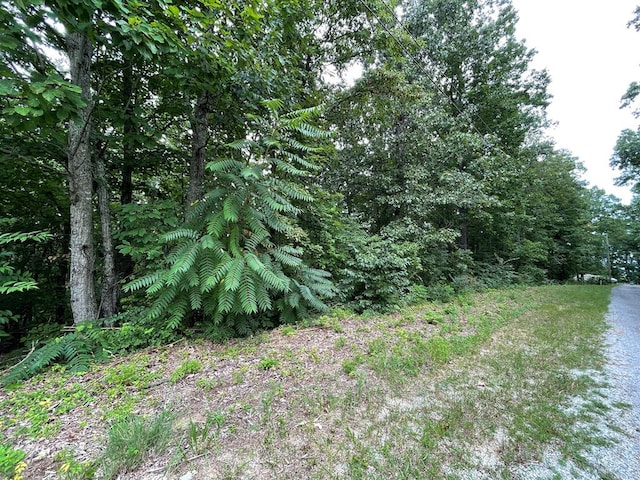 LOT37 Pecan Tree Ln, Newport TN, 37821 land for sale