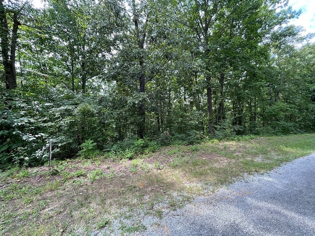 Listing photo 3 for LOT37 Pecan Tree Ln, Newport TN 37821