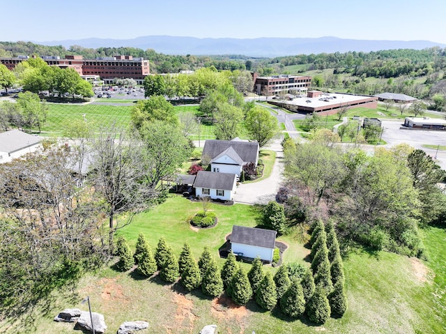 1409 Tusculum Blvd, Greeneville, TN 37745 - photo 80