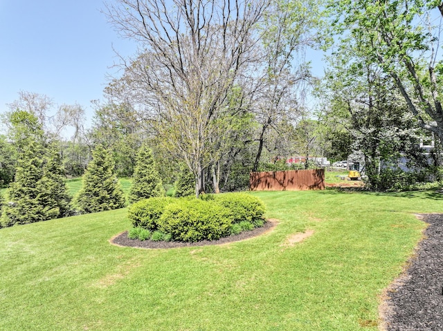 1409 Tusculum Blvd, Greeneville, TN 37745 - photo 55