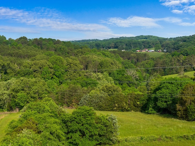 TBD Bays Mountain Rd, New Market, TN 37820 - photo 14