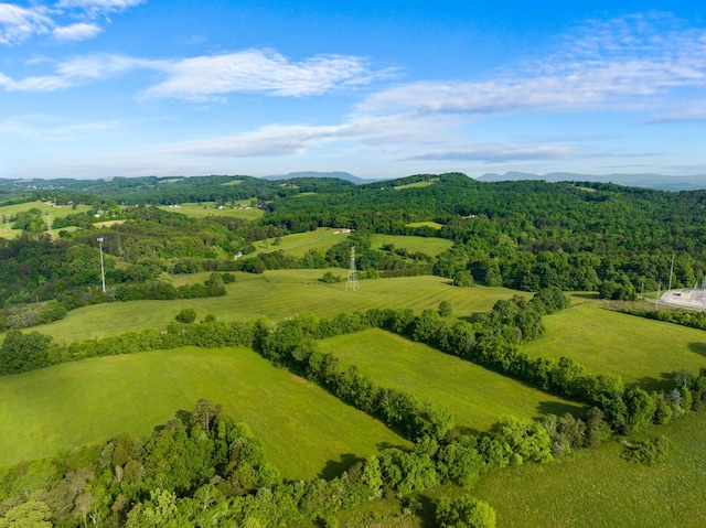 TBD Bays Mountain Rd, New Market, TN 37820 - photo 5