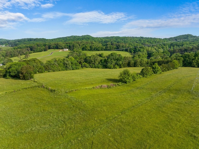 TBD Bays Mountain Rd, New Market, TN 37820 - photo 13