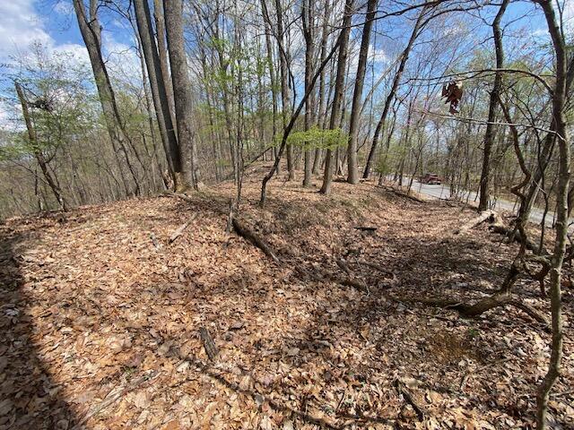 155 Chelaque Way, Mooresburg, TN 37811