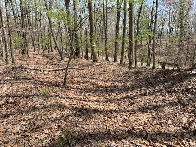 155 Chelaque Way, Mooresburg, TN 37811