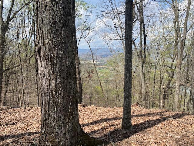 155 Chelaque Way, Mooresburg, TN 37811