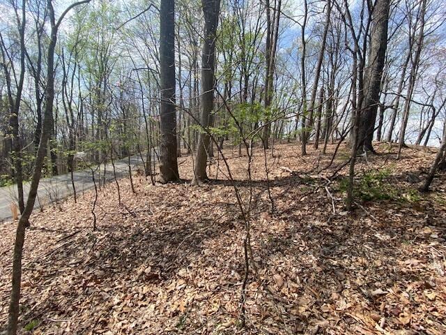 155 Chelaque Way, Mooresburg, TN 37811
