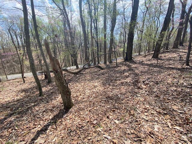 155 Chelaque Way, Mooresburg, TN 37811